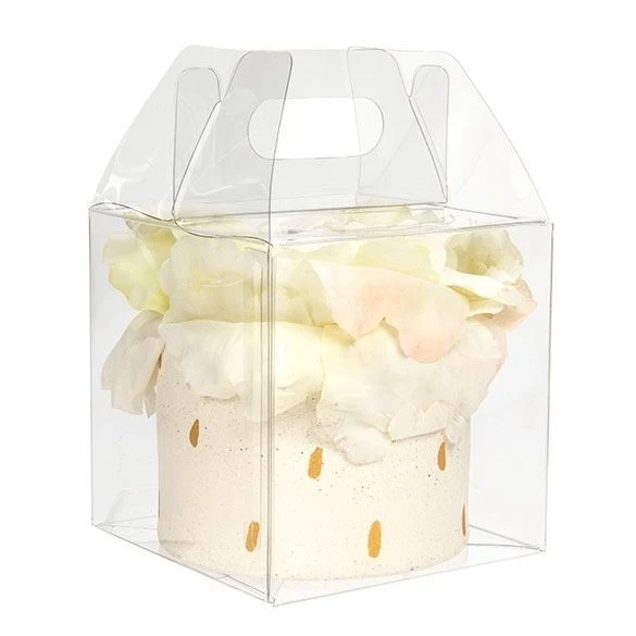 Klarsichtschachteln 10.2x10.2x10.2cm Transparent (25 Stück) [FPLB57]