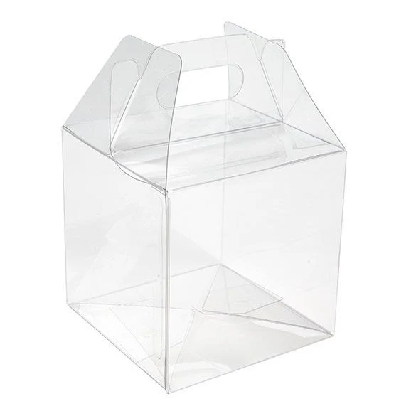 Klarsichtschachteln 10.2x10.2x10.2cm Transparent (25 Stück) [FPLB57]