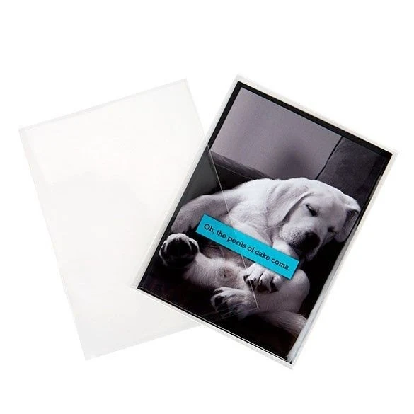Flachbeutel 12.5x17 cm OPP Transparent (100 Stück) [B65NF]