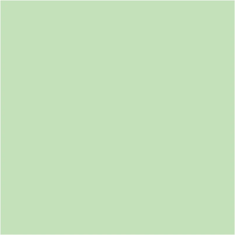 Papier, A4, Blatt 210x297 mm, 80 g, Hellgrün, 20 Stk/ 1 Pck [HOB-218028]
