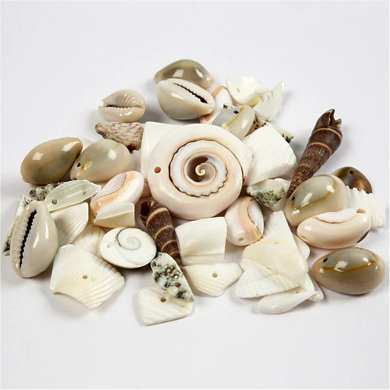 Strandmuscheln, Größe 9-40 mm, Lochgröße 1-1,5 mm, 120 g/ 1 Pck [HOB-631881]
