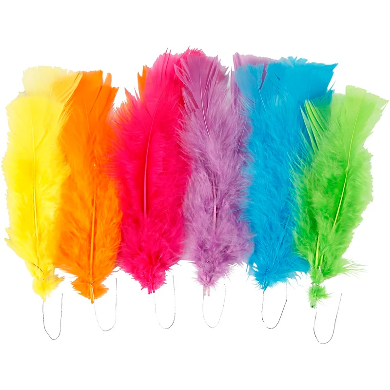 Federn, L 11-17 cm, Sortierte Farben, 18 Bündl./ 1 Pck [HOB-518460]