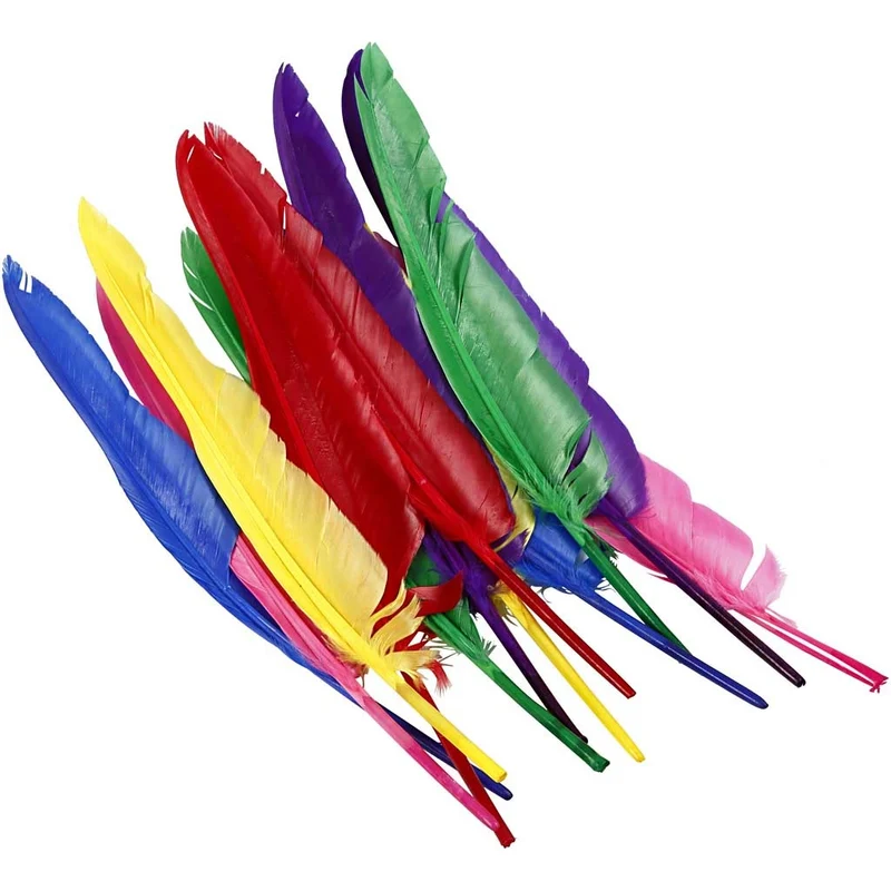 Federn, L 27 cm, Sortierte Farben, 12 Stk/ 1 Pck [HOB-51819]