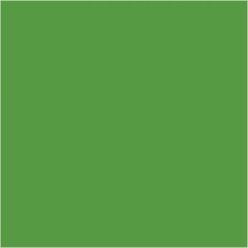 Plus Color Bastelfarbe, Hellgrün, 60 ml/ 1 Fl. [HOB-39676]