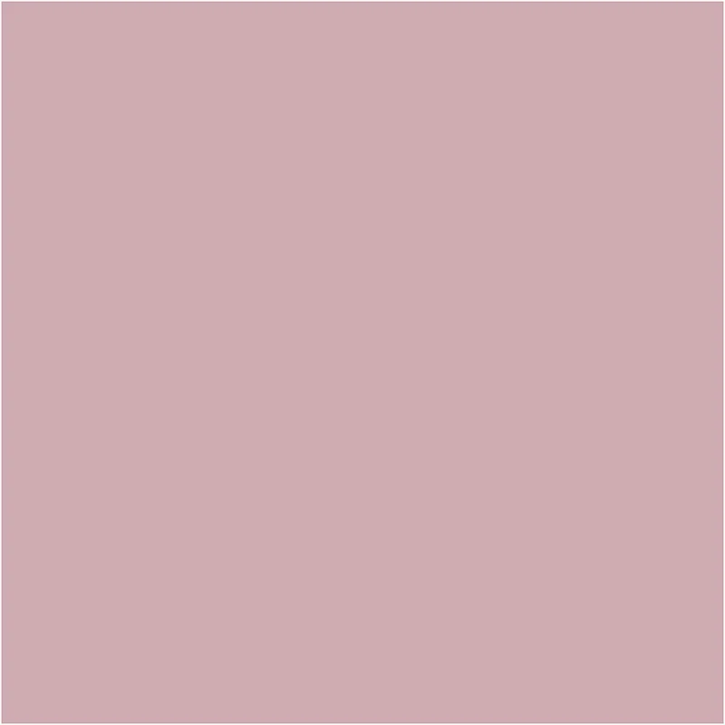 Plus Color Bastelfarbe, Staubrosé, 60 ml/ 1 Fl. [HOB-39620]
