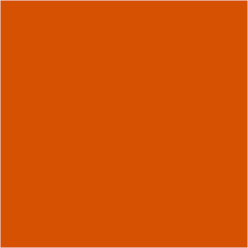 BIC Visa Color Filzstifte, Strichstärke 3 mm, Mittelorange, 12 Stk/ 1 Pck [HOB-37412]