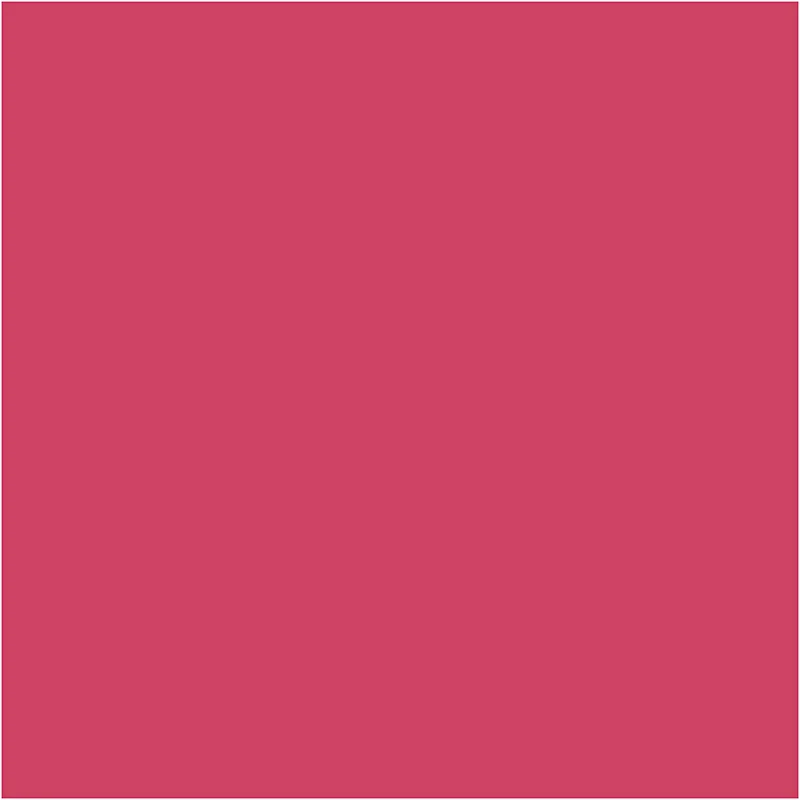 BIC Visa Color Filzstifte, Strichstärke 3 mm, Pink, 12 Stk/ 1 Pck [HOB-37411]