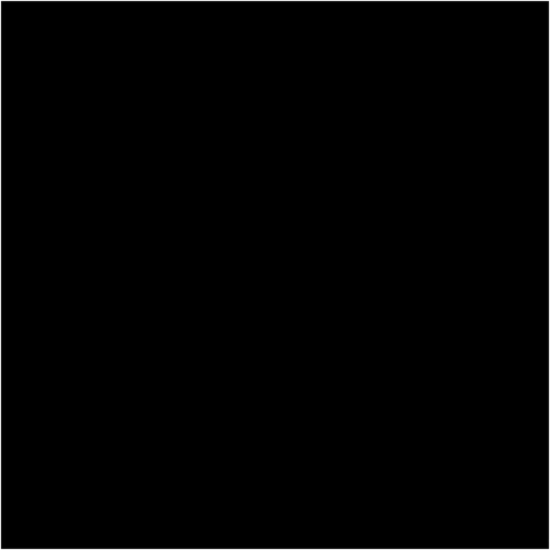 BIC Visa Color Filzstifte, Strichstärke 3 mm, Schwarz, 12 Stk/ 1 Pck [HOB-37409]