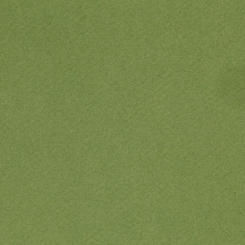 Französischer Karton, A4, Blatt 210x297 mm, 160 g, Apple Green, 1 Bl. [HOB-294475]