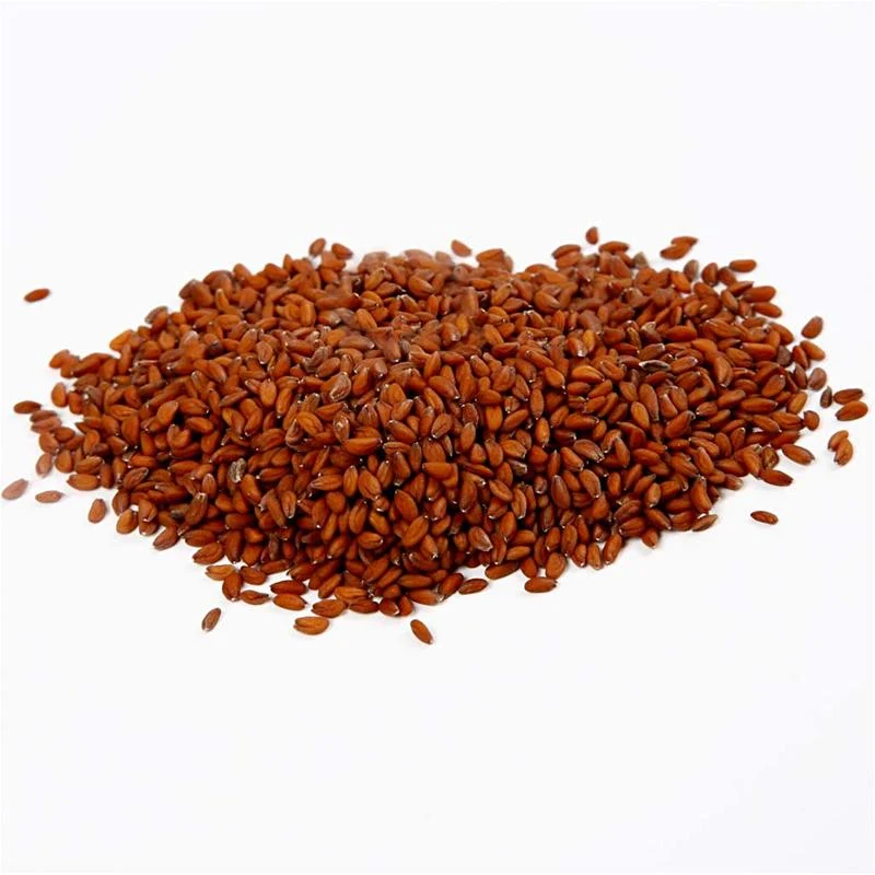 Kressesamen, 30 g/ 1 Btl. [HOB-23345]