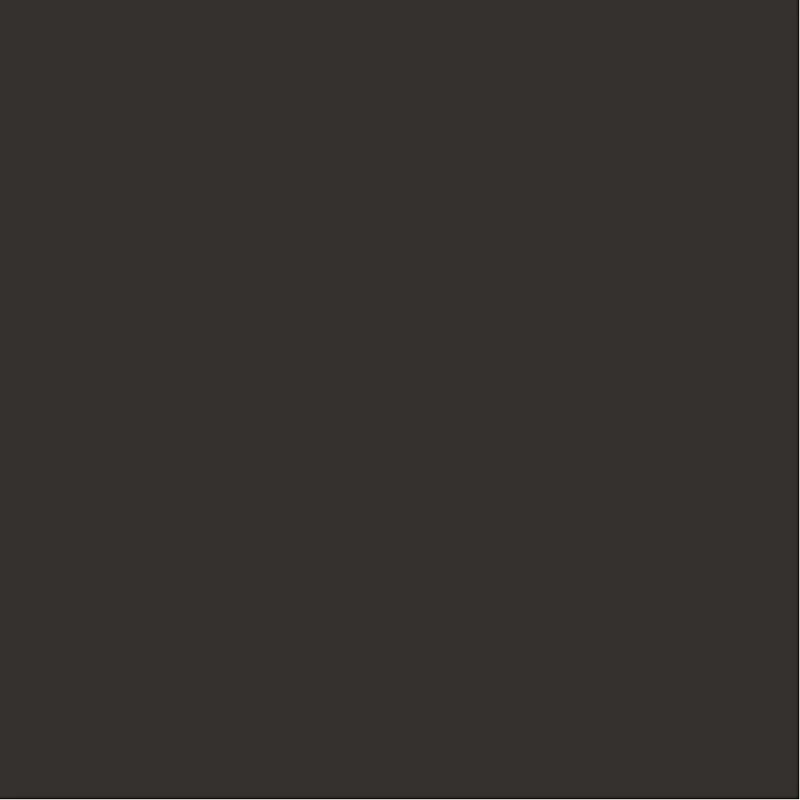 Karton, farbig, A2, Blatt 420x594 mm, 180 g, Schwarz, 100 Bl./ 1 Pck [HOB-21327]