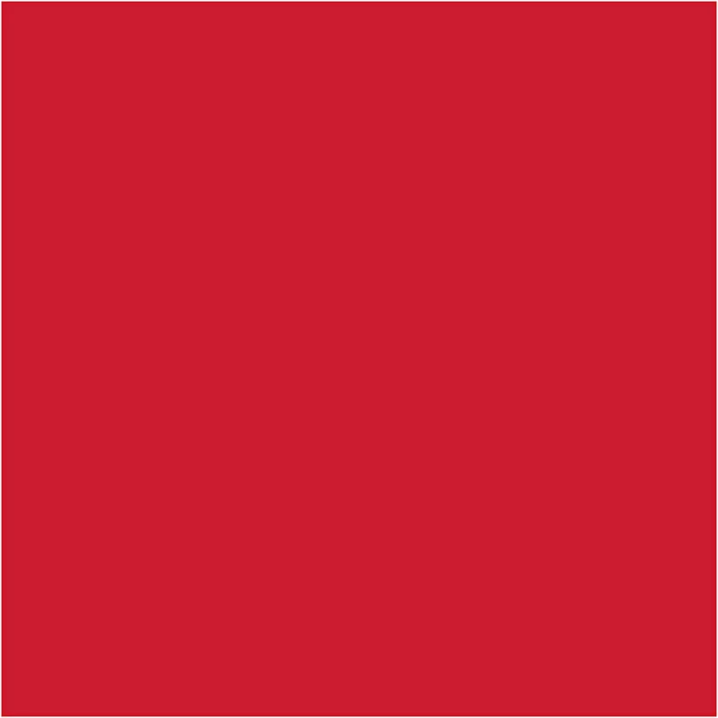 Seidenpapier, Blatt 50x70 cm, 17 g, Rot, 10 Bl./ 1 Pck [HOB-200883]