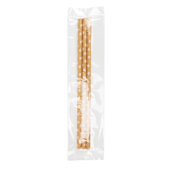 Plastikbeutel "Heat Seal" 5,1x20,3cm laminiert (100 Stück) [SLB28]