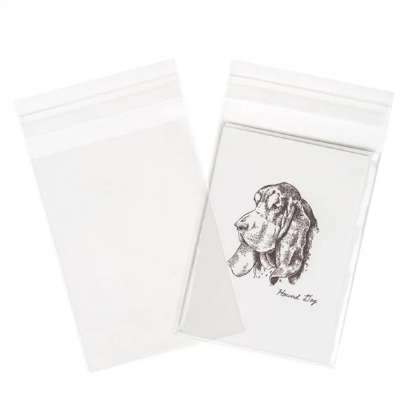 Klappenbeutel 9,7x13,2cm Hochtransparent (250 Stück) [VL3X5]