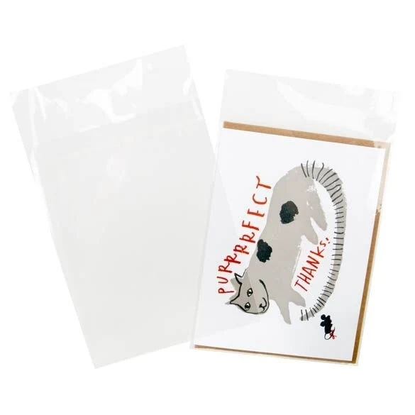 Umweltfreundliche Beutel 12.5x16.5cm Transparent mit Schutzverschluss (100 Stück) [GC65PC]