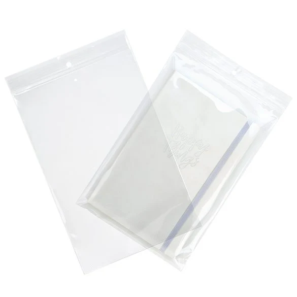 Druckverschlussbeutel mit Aufhängeloch und Luftloch 15x23cm Transparent PP 100 Mikron (100 Stück) [Z4R69V]