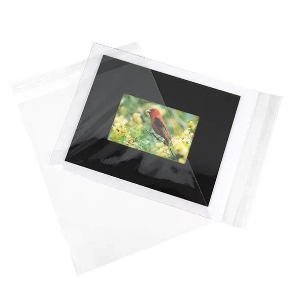 Umweltfreundliche Beutel 24x31.1cm Transparent - Premium (100 Stück) [GC9]