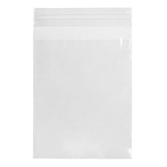 Umweltfreundliche Beutel 11.4x14.1cm Transparent - Premium (100 Stück) [GC54S]
