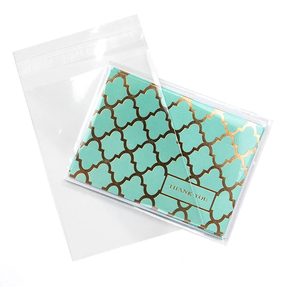 Umweltfreundliche Beutel 10.3x13.7cm Transparent - Premium (100 Stück) [GC4B1]
