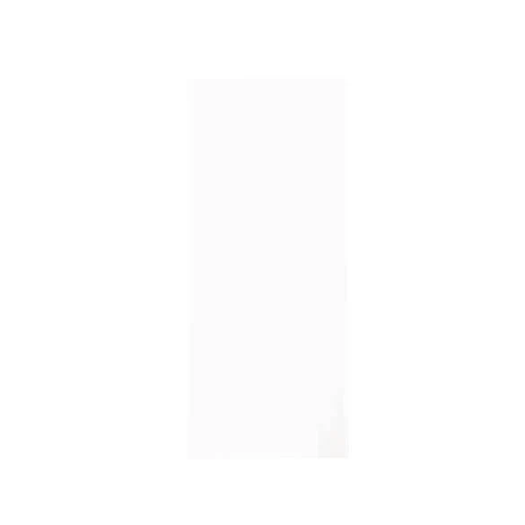 Plastikbeutel 17.8x43.2cm Transparent (PP) (250 Stück) [FP1H717]