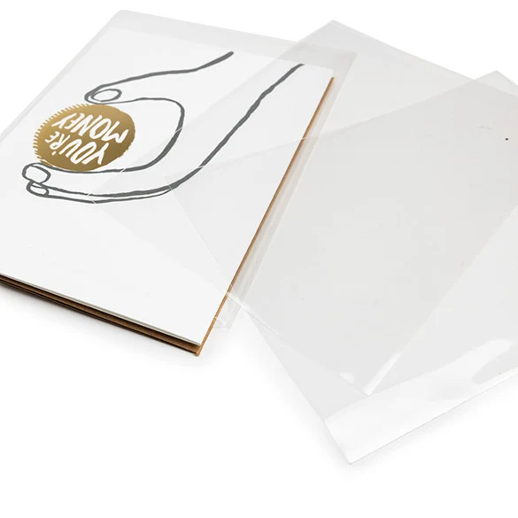 Umweltfreundliche Beutel 9.7x13.2cm Transparent - Premium (100 Stück) [GC3X5NF]