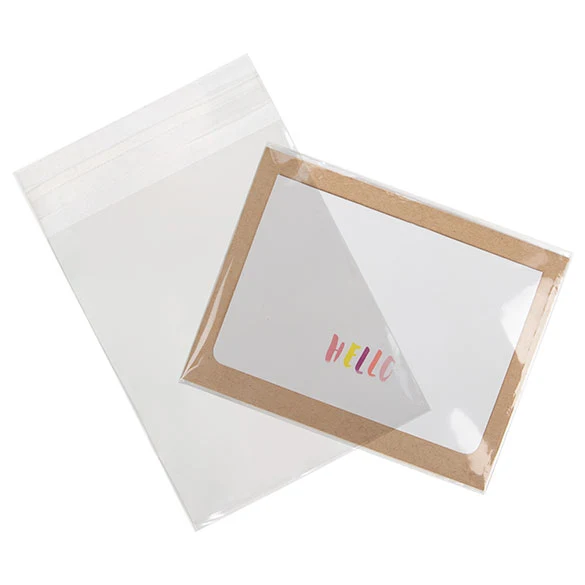 Umweltfreundliche Beutel 11.7x14.6cm Transparent - Premium (100 Stück) [GC54]