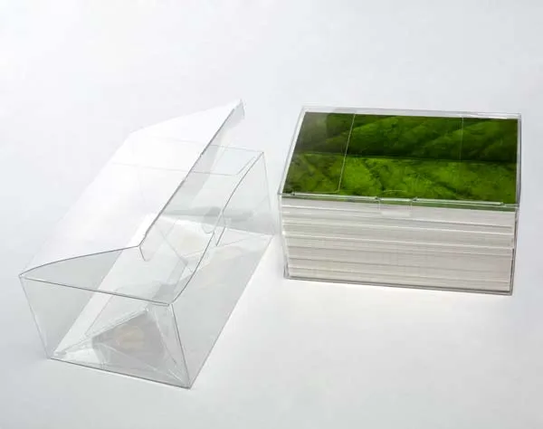Klarsichtschachteln 15.6x10.8x7.6cm mit Automatikboden (25 Stück) [FPLB214]