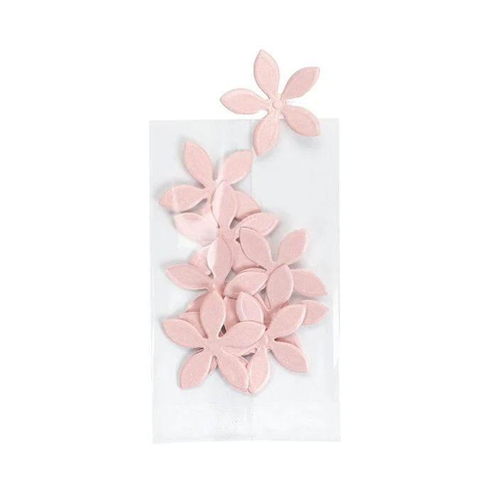 Öko-Beutel Transparent 5.1x7.6cm Premium und Verschweißbar (100 Stück) [CHS23]