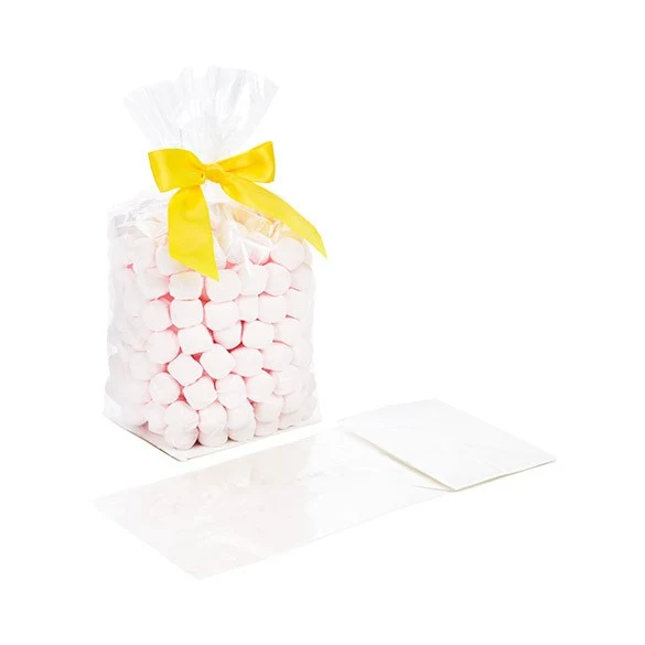 Blockbodenbeutel 10.2x7.6x25.4cm Transparent mit Bodenblatt (100 Stück) [FGPB5]
