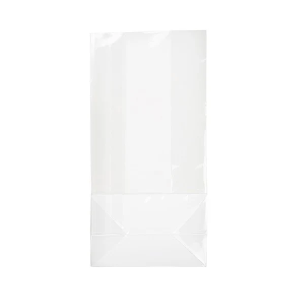 Blockbodenbeutel 10x6x20cm Transparent (100 Stück) [FGPB4]