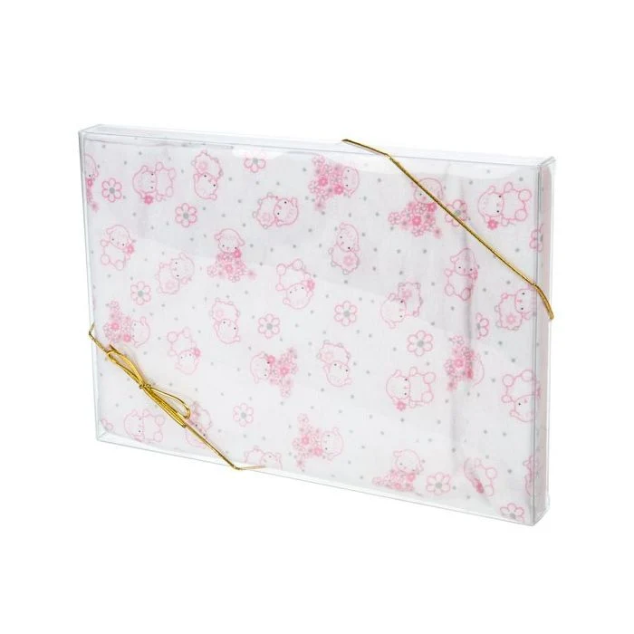 Klarsichtschachteln 18.7x2.5x26.8cm Transparent (25 Stück) [FB184]