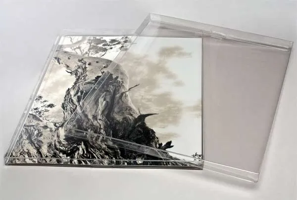 Klarsichtschachteln 28.2x1.6x35.8cm Transparent (25 Stück) [FPB170]