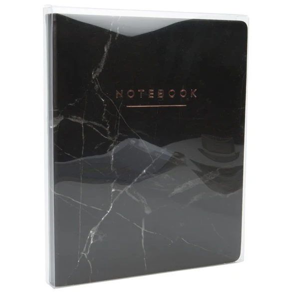 Klarsichtschachteln 20.6x2.5x25.7cm Transparent (25 Stück) [FPB169]
