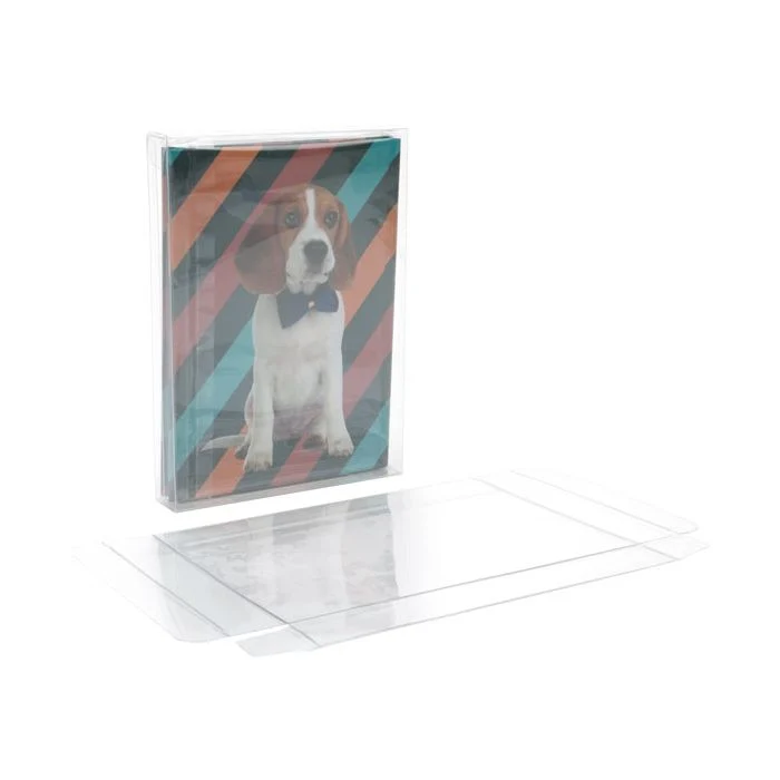 Klarsichtschachteln 13x2.5x18.1cm Transparent (25 Stück) [FPB168]