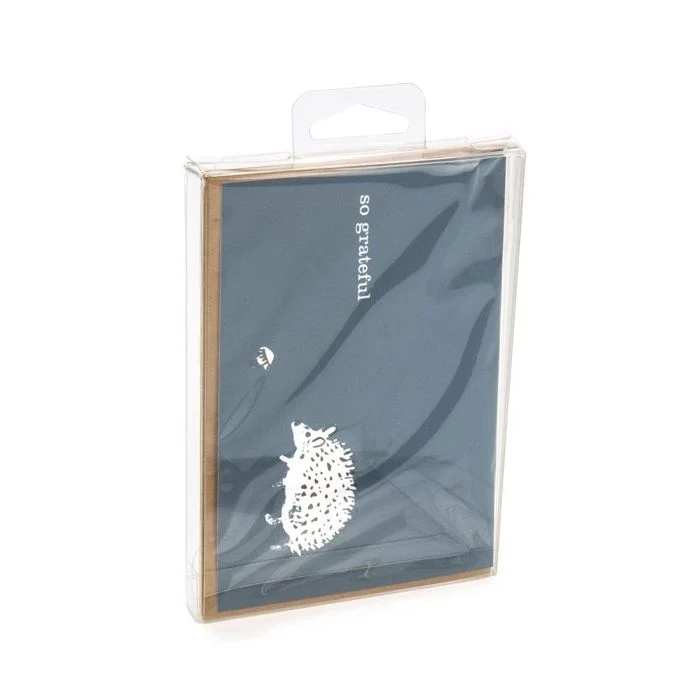 Klarsichtschachteln 9.6x1.6x13.2cm Transparent mit Aufhängeloch (25 Stück) [CHFB10]