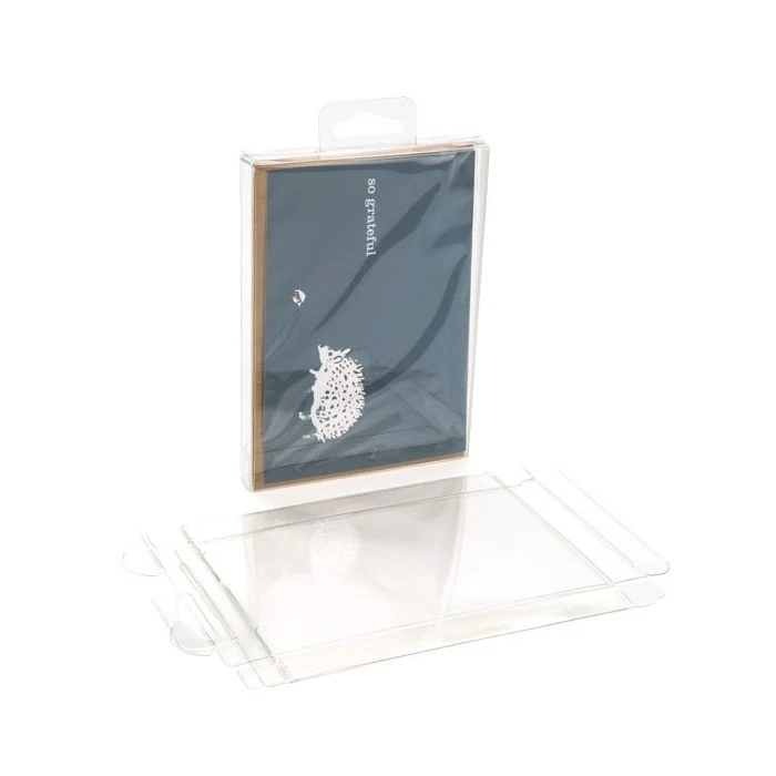 Klarsichtschachteln 9.6x1.6x13.2cm Transparent mit Aufhängeloch (25 Stück) [CHFB10]