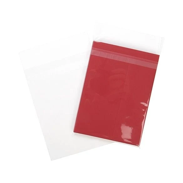 Klappenbeutel 14.5x19cm Hochtransparent (100 Stück) [B7B1PC]