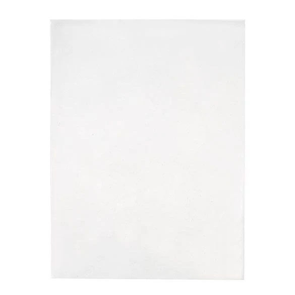 Umweltfreundliche Beutel 22.9x30.5cm Transparent - Heißsiegelfähig (100 Stück) [GC912ENF]