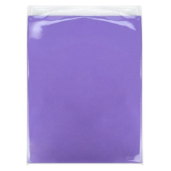 Umweltfreundliche Beutel 22.9x30.5cm Transparent - Heißsiegelfähig (100 Stück) [GC912ENF]