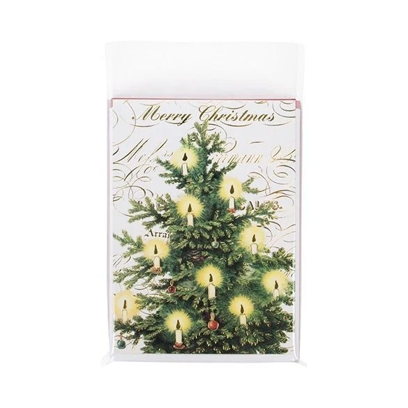 Klappenbeutel 15.1x19.7cm Hochtransparent (100 Stück) [B5N9PC]