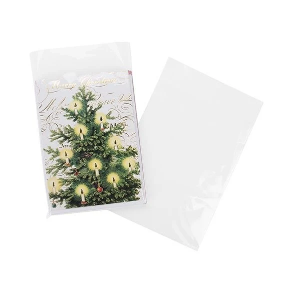 Klappenbeutel 15.1x19.7cm Hochtransparent (100 Stück) [B5N9PC]