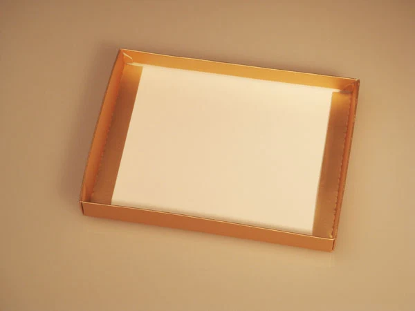 Pappschachteln Gold 9.5x2.5x13.7cm (25 Stück) [GD31]