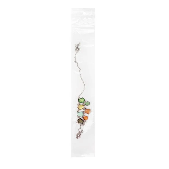 Druckverschlussbeutel mit Euroloch 5x30.5cm Transparent PP 50 Mikron (100 Stück) [ZR212]