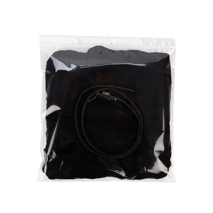 Druckverschlussbeutel mit Euroloch 32x32cm Transparent PP 50 Mikron (100 Stück) [ZR12H]