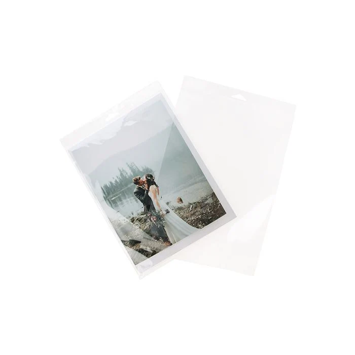 Headerbeutel Transparent 22.7x28.6cm Wiederverschließbar (100 Stück) [HB811]