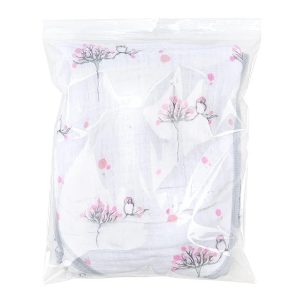 Druckverschlussbeutel mit Euroloch 25.5x30.5cm Transparent PP 50 Mikron (100 Stück) [ZR1012V]