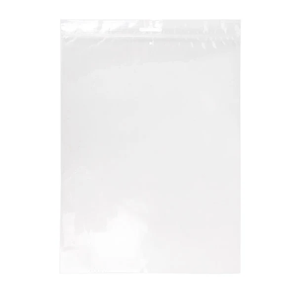 Druckverschlussbeutel mit Euroloch 23x30,5cm Kristallklar PP 50 Mikron mit Luftloch (100 Stück) [ZE912V]