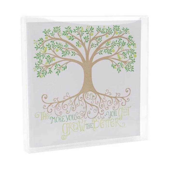 Klarsichtschachteln 13x1.6x12.9cm Transparent (25 Stück) [FB11]