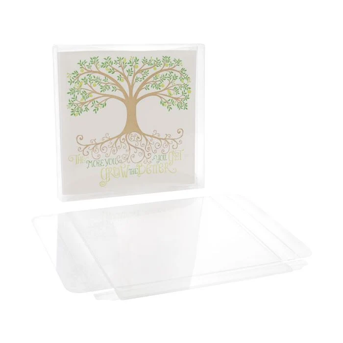 Klarsichtschachteln 13x1.6x12.9cm Transparent (25 Stück) [FB11]