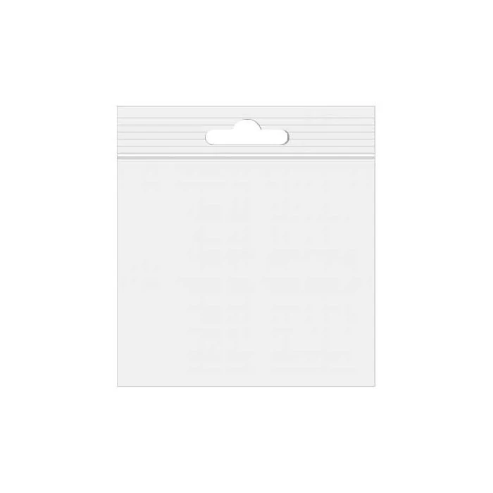 Druckverschlussbeutel mit Euroloch 20.5x20.5cm Transparent PP 50 Mikron (100 Stück) [ZE88]